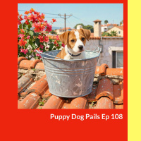 Puppy Dog Pails - Why has Spain a reputation for animal cruelty?