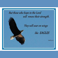 Now You Know: Soar on the Wings of Eagles