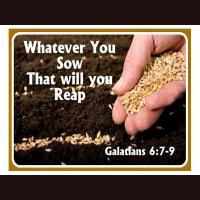 Now You Know: You Reap What You Sow