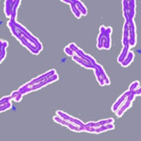 Acciones de Inquisición de paternidad