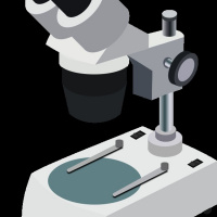 Como controlar la cualidad de los peritos y expertos