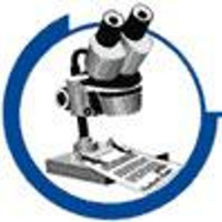 Falsificaciones y libros índices