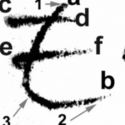 Podcast De Raymond Orta Leyes-tecnología