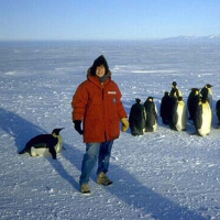 Whatever Happened to the Ozone Hole? 