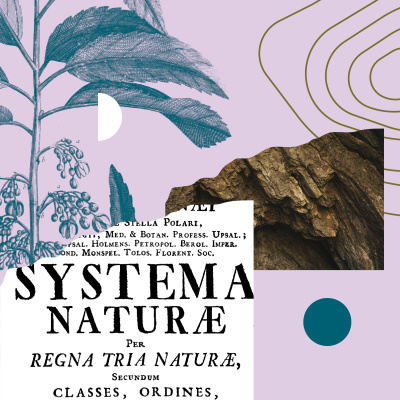 Distillations: Science + Culture + History