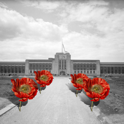 Distillations: Science + Culture + History