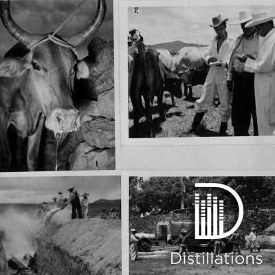 Distillations: Science + Culture + History