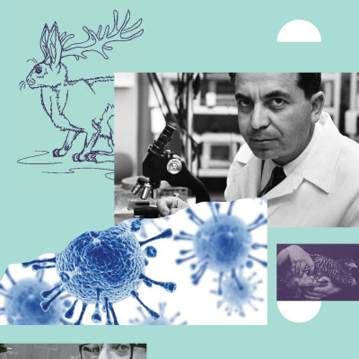 Distillations: Science + Culture + History