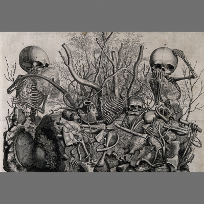 Distillations: Science + Culture + History