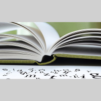 Calls for more reading schools to help children with dyslexia