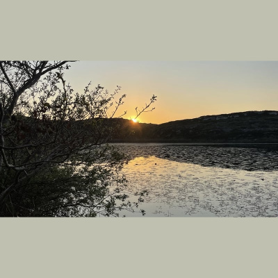 Rté - Morning Ireland