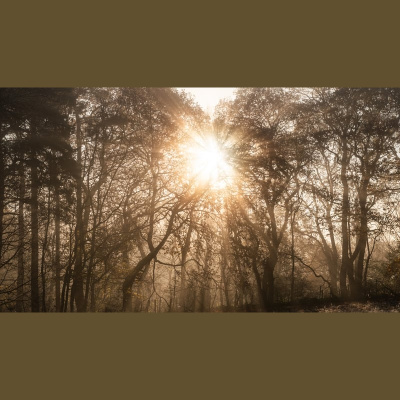 Rté - Morning Ireland