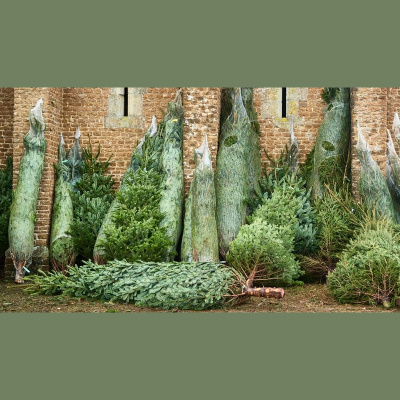 Rté - Morning Ireland