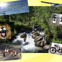 Paesaggio sonoro: una notte speciale