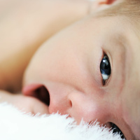 De roeping van Jeremia