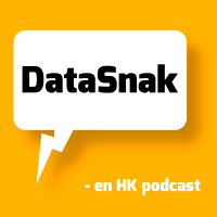 DataSnak 216 - Forudsigelser om 2025 med Ernst Poulsen