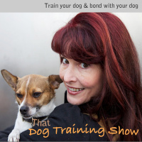 That Dog Training Show - Ep.47 - The health benefits of dog ownership