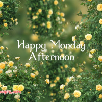 Monday Afternoon (Part 1)