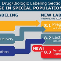 ABCs Of Pregnancy Labeling Rules