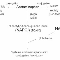 APAP 4 Hr Level And Med Clearance