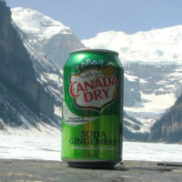 Cardinal Presentation # 1 Abdominal Pain