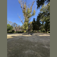 Birds of the Jardin de Ayora 