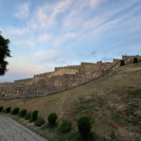 Cicadas and tourists in the citadel