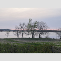 Birdsong at St. John River