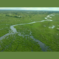 Okavango Delta jam