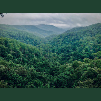 Nighttime, Kichwa territory 