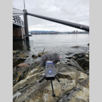 The creaking dock performs