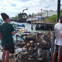 El botín de cada día