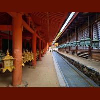 Morning prayer at Kasuga Taisha Shrine, Nara