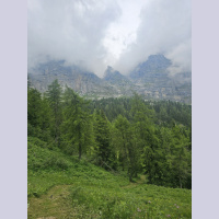 Birdsong in the mountains on a summer afternoon