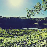 Beaver splash and the crater lake band