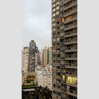 Hong Kong dawn chorus