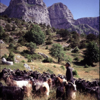 Music in the mountains