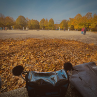 Westlicher Najadenbrunnen in Autumn