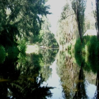 Trajinera at Xochimilco canals