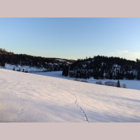 Water under the snow