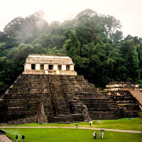 Morning rain in Palenque jungle