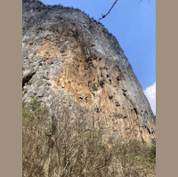 Morning birds in Apoala