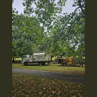 Industrial log disposal