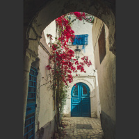 Tunis alleyways