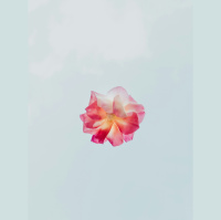 The link of generations