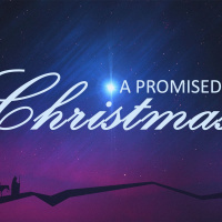 A Promised Christmas: A Promised Savior
