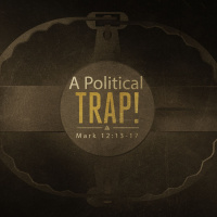 Mark: A Political Trap