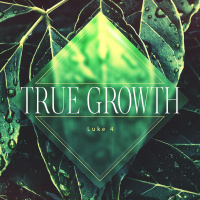 Mark: True Growth