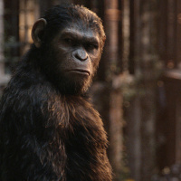 Episodio 22 - La Guerra por el Planeta de los Simios y La Trilogia de Caesar.