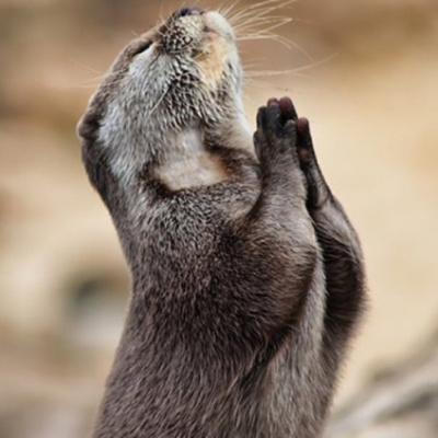 Comedian Anguz Black Podcast